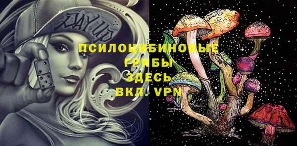 амфетамин Алексеевка