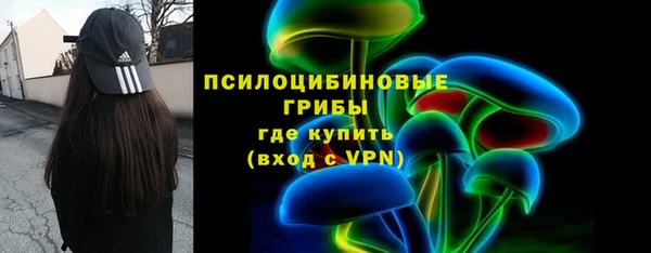 стаф Алексин