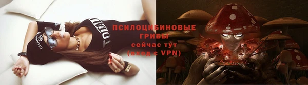 амфетамин Алексеевка