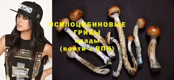 бошки Алзамай