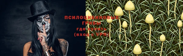 стаф Алексин