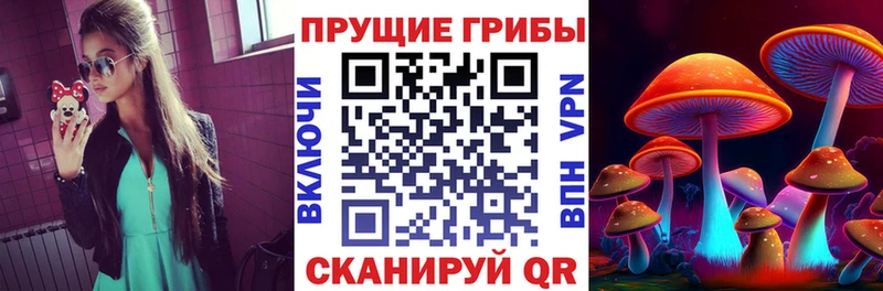 Псилоцибиновые грибы Psilocybe  Чаплыгин 